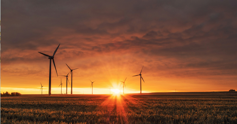 The Step-by-Step Science of How Wind Becomes Electricity