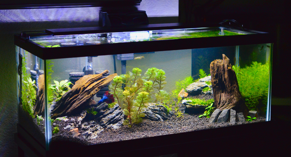 aquarium battery backup - natures generator