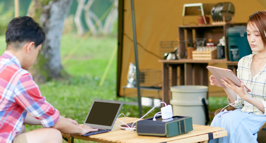 electric backup generator -natures generator