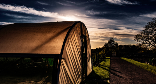 grow tent - natures generator