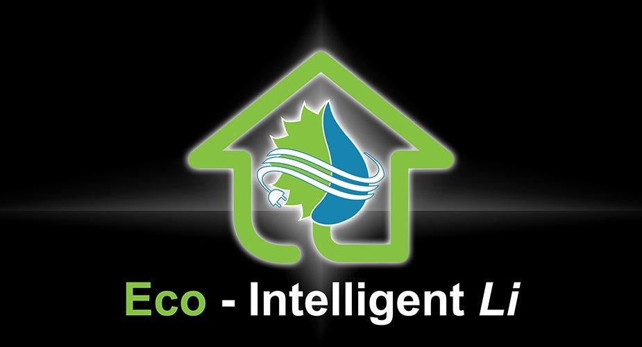 LiFePO4 Eco-Intelligent Li