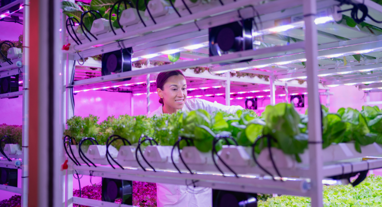 quality greenhouses - natures generator