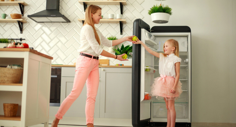 smeg fridge - natures generator