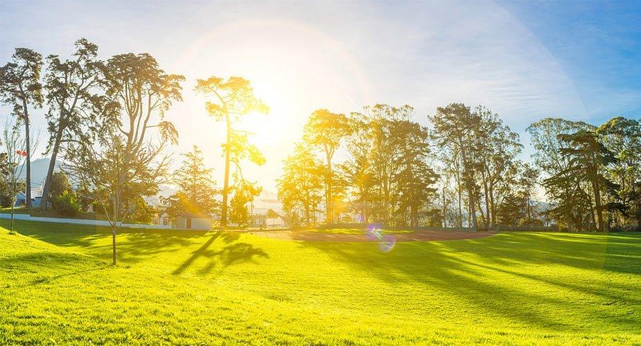 The Top 6 Applications of Solar Energy