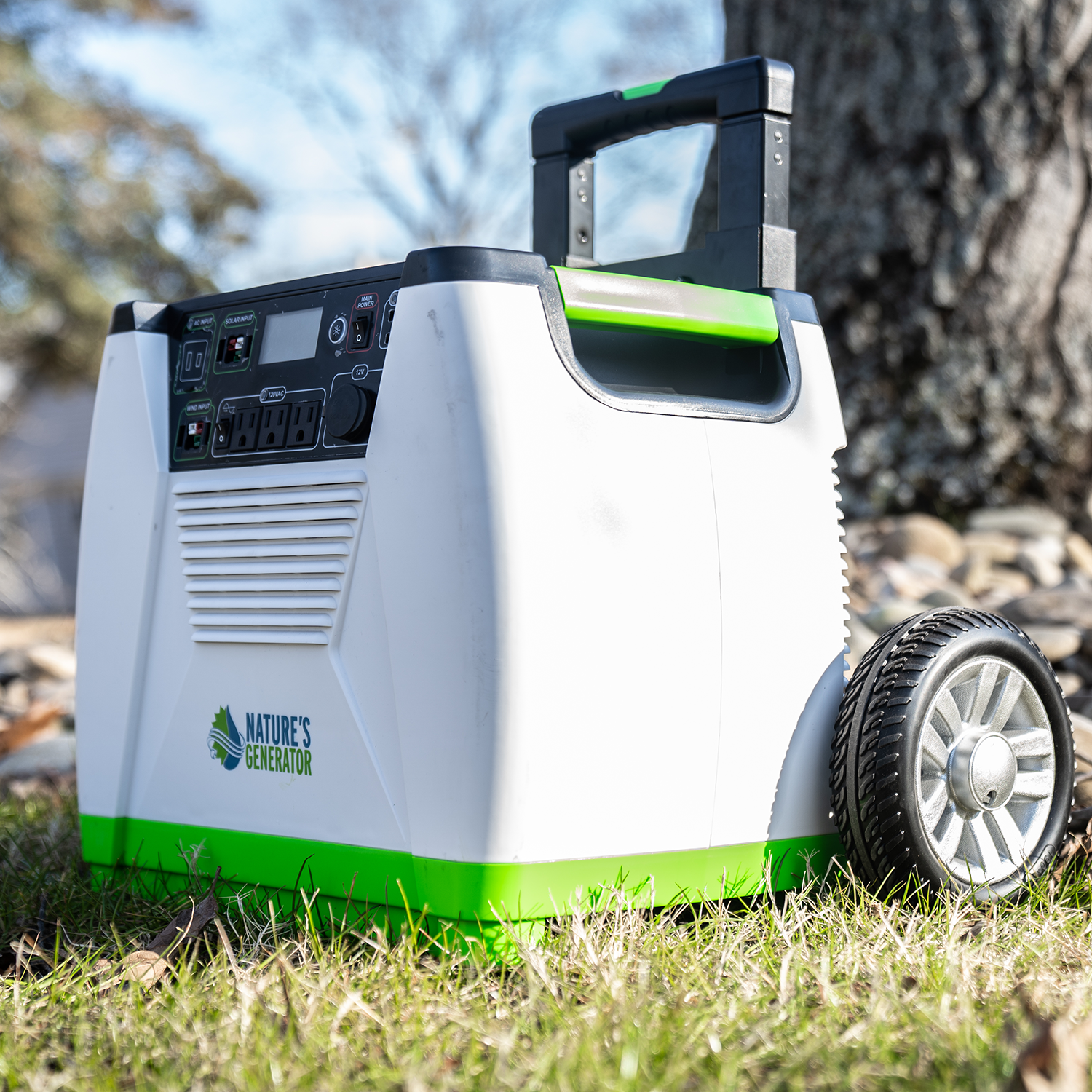 Scene - 1800 Standard Outdoor